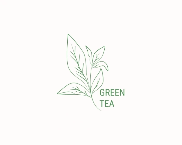 Зелений чай — найкорисніший напій для збереження молодості: вчені