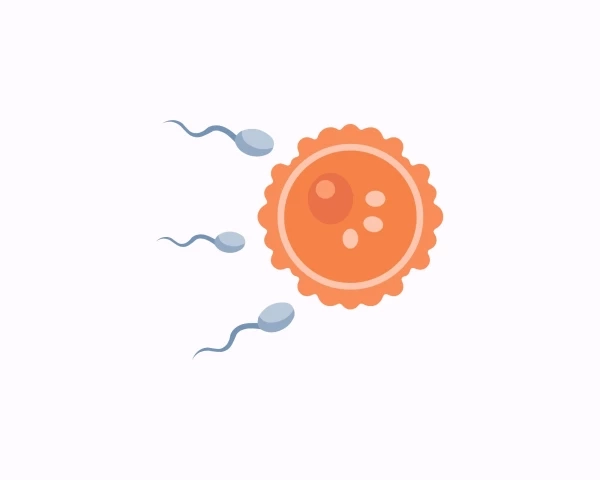 Как COVID-19 влияет на мужскую фертильность: исследование